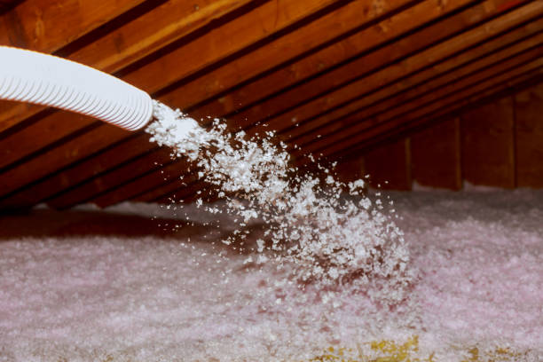 Best Insulation Removal  in Mount Carmel, PA