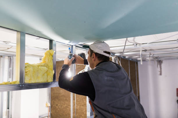 Best Insulation for New Construction  in Mount Carmel, PA