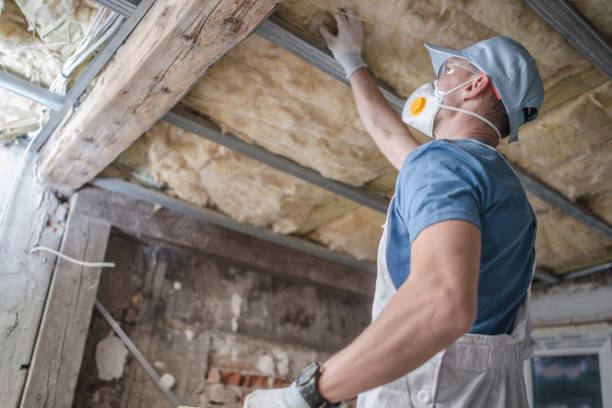 Best Insulation Contractors for Homes  in Mount Carmel, PA