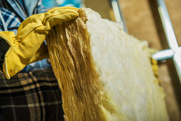 Best Home Insulation Services  in Mount Carmel, PA