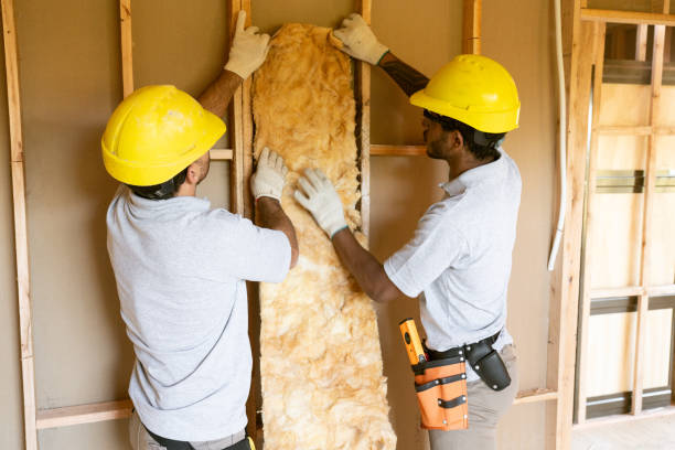 Best Crawl Space Insulation  in Mount Carmel, PA