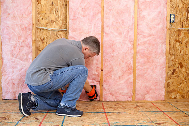Best Insulation Contractor Near Me  in Mount Carmel, PA