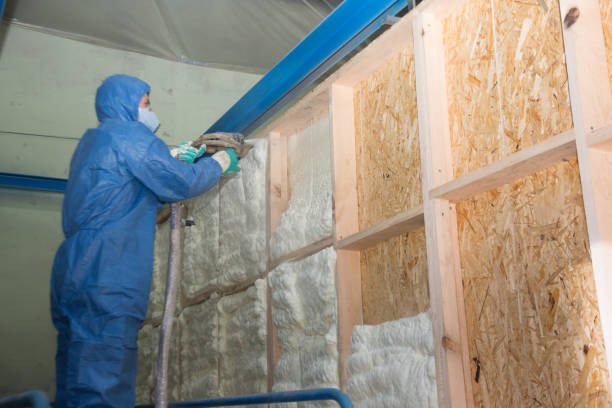 Best Spray Foam Insulation  in Mount Carmel, PA