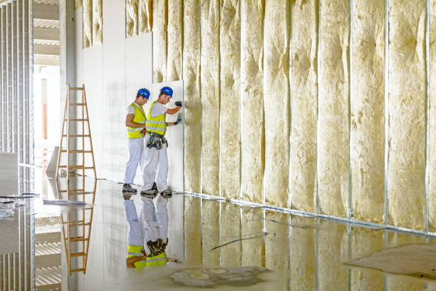 Best Blown-in Insulation  in Mount Carmel, PA